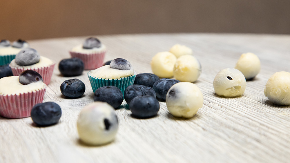 Gefrorene Blaubeer-Joghurt-Pralinen • Koch-Mit